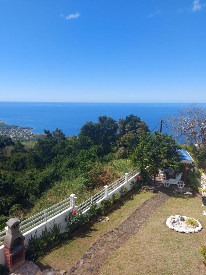 Belavue & Spa Prive, Avec Vue Panoramique Sur Mer, Jardin Creole Paysager, Jacuzzi Prive Bouillante Exteriör bild