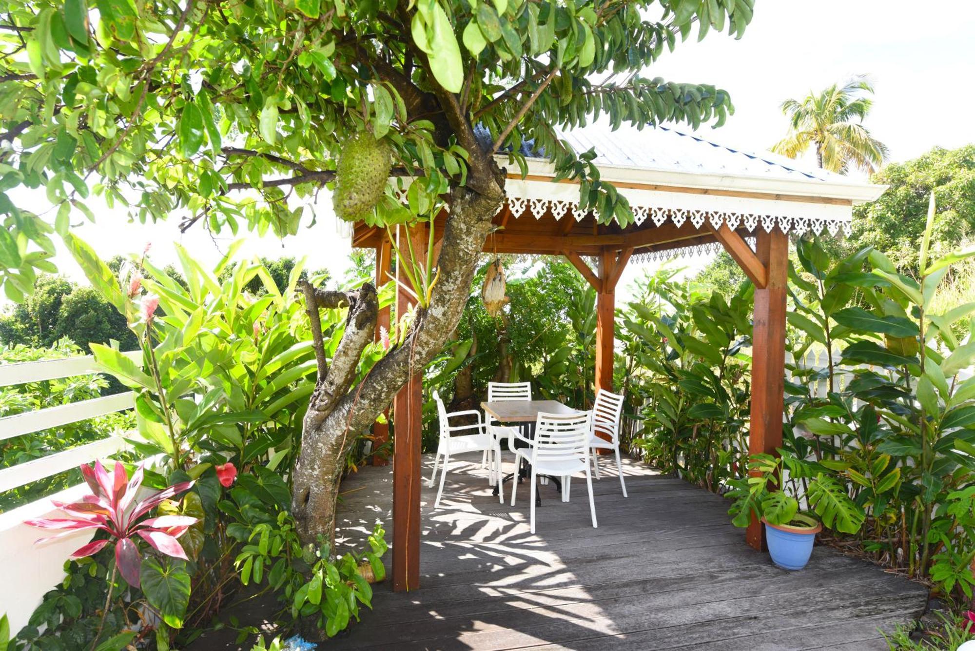 Belavue & Spa Prive, Avec Vue Panoramique Sur Mer, Jardin Creole Paysager, Jacuzzi Prive Bouillante Exteriör bild