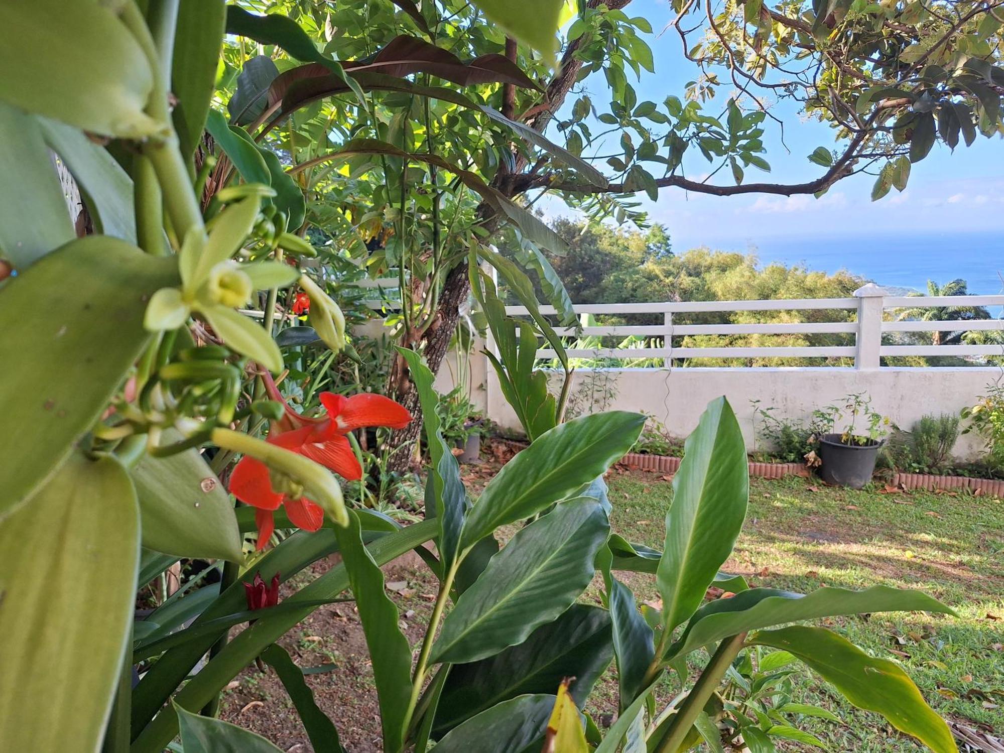 Belavue & Spa Prive, Avec Vue Panoramique Sur Mer, Jardin Creole Paysager, Jacuzzi Prive Bouillante Rum bild