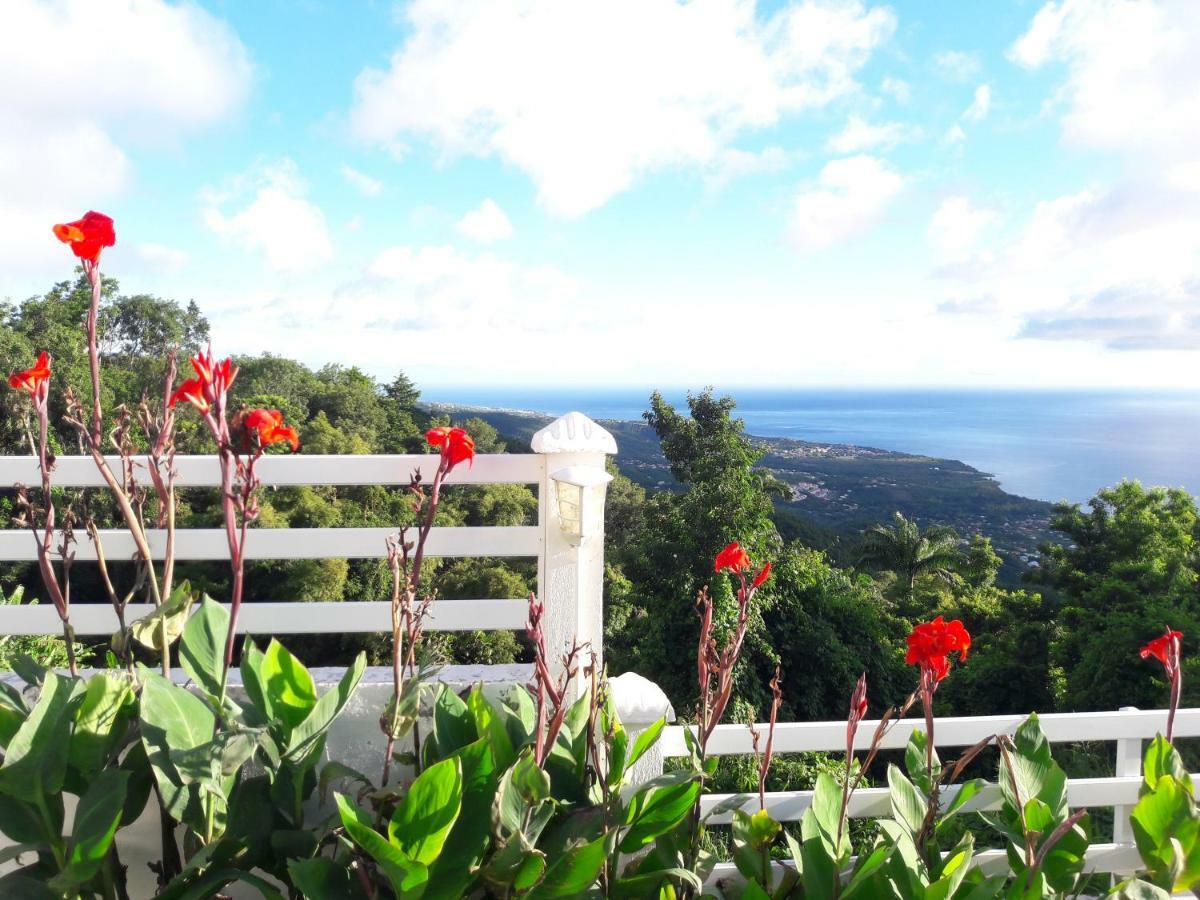 Belavue & Spa Prive, Avec Vue Panoramique Sur Mer, Jardin Creole Paysager, Jacuzzi Prive Bouillante Exteriör bild